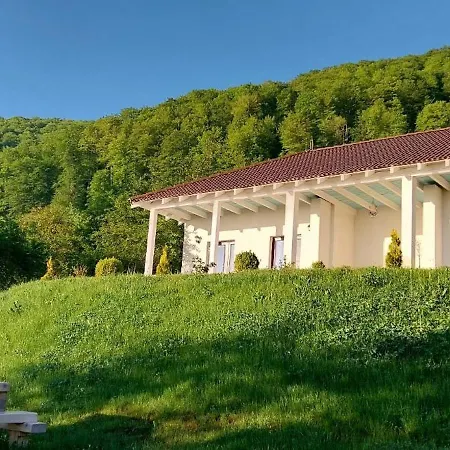 Cristelyn (adults Only) Bran (Brasov)